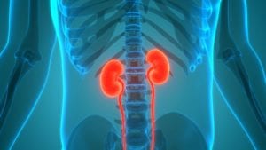 9/11-Related Urinary Tract Cancers | Hansen & Rosasco, LLP